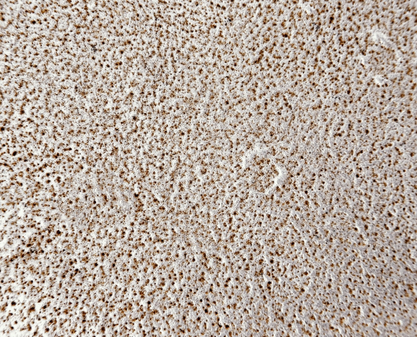 ceramica per sabbiatura